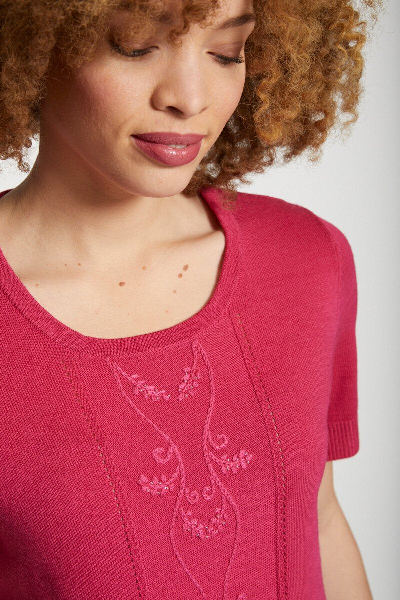 Pull_manches_courtes_fantaisie_brodée_Cassis_DE1_slim